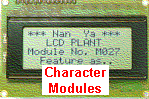 char module 1 in 2.gif (8996 bytes)