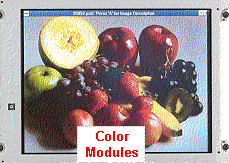 color 25 pct 2.gif (22350 bytes)